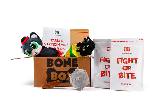 BoneBox - Samuraiboxi Dog Toys Bonebox.fi 