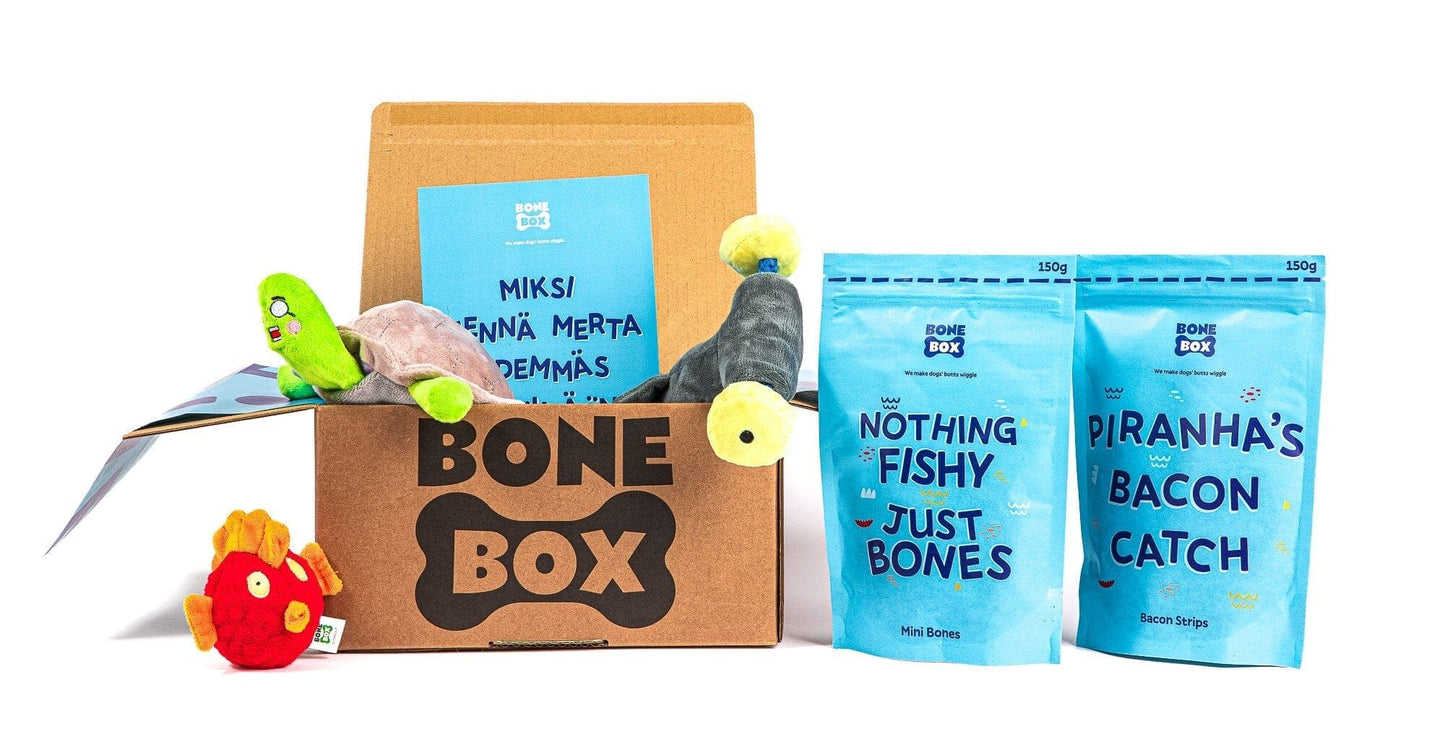 MeriBoxi - 12 boxia - Lisälelu Dog Toys Bonebox.fi 